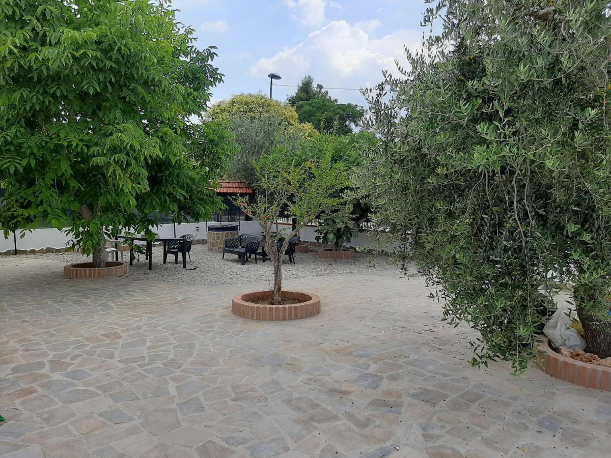 아그로폴리 La Casa Di Ely 아파트 외부 사진
